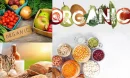 Organik Gıdaların Sağlık Üzerindeki Olumlu Etkileri