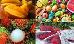 Tropikal Meyvelerin Renkli Dünyası