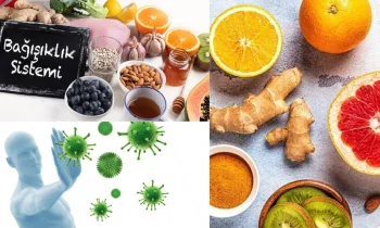 Bağışıklık Güçlendirme Nedir?