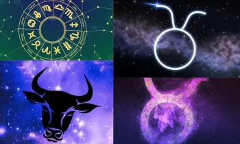 Sadeliğin Gücü ve Güven Arayışı