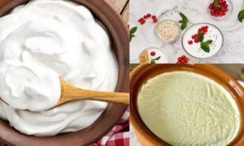 Ev Yoğurt Yapmanın Sağlığa Faydaları