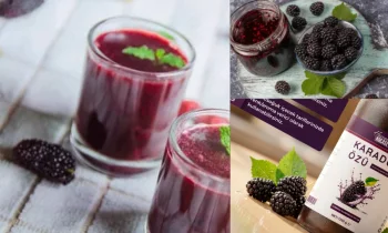 Anthocyanin Protection and Bioactive Tissue in Natural Mulberry Extract Processing Methods