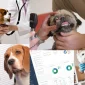 Veteriner Pet Takip Programı