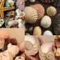 Deniz Kabuğu Koleksiyonu Nasıl Yapılır