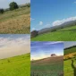 Satılık Arsa Fırsatları
